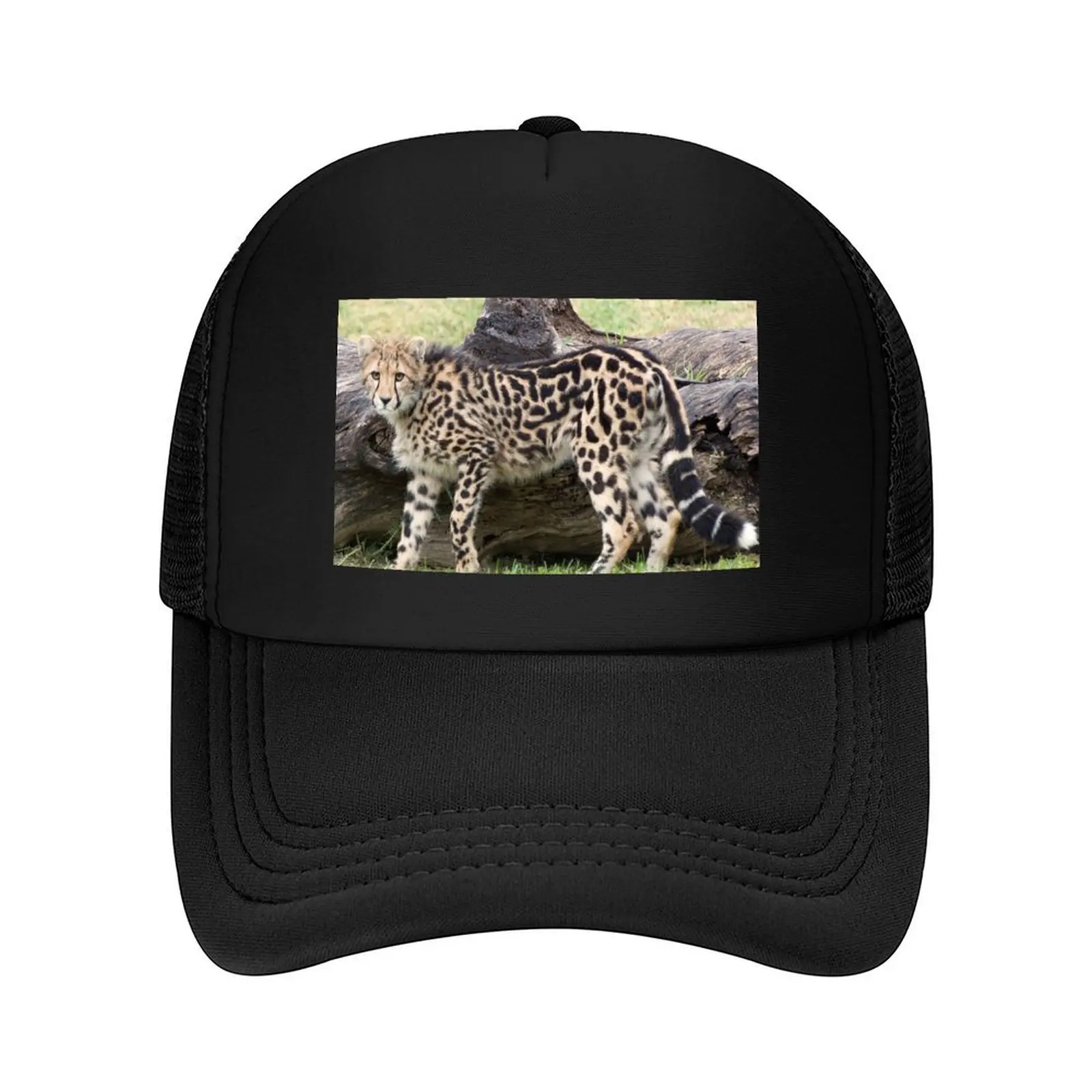 Female - King Cheetah Baseball Cap Luxury Cap Hat men Sun Cap Bobble Hat Ladies Men's
Female - King Cheetah Baseball Cap Luxury Cap Hat men Sun Cap Bobble Hat Ladies Men's
