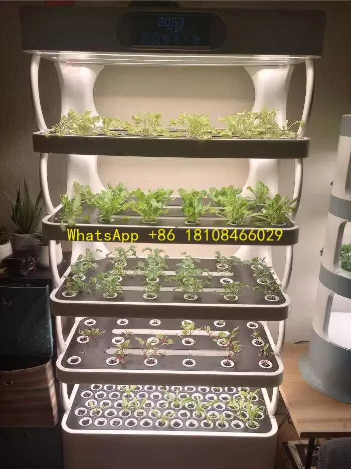 Growth Hydroponic Planter One One Home Intelligent Planter Soilless Cultivation Equipment Vegetable Plant
Growth Hydroponic Planter One One Home Intelligent Planter Soilless Cultivation Equipment Vegetable Plant