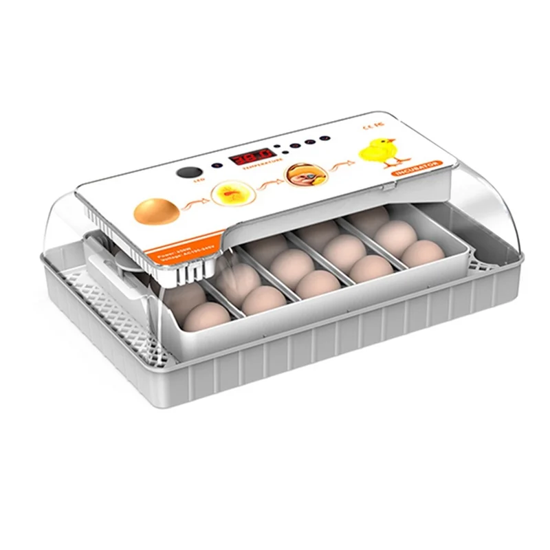 20 Eggs Incubator Mini Household Automatic Incubator Farm Chicken Bird Incubator Eggs Incubadora US Plug
20 Eggs Incubator Mini Household Automatic Incubator Farm Chicken Bird Incubator Eggs Incubadora US Plug