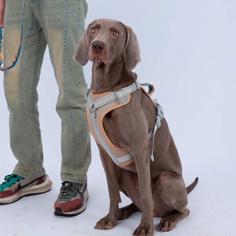 Large Dog Harness Nylon Dog Vest with Handle Adjustable Suitable for Medium and Large Dogs Golden Retriever Bulldog Pet Supplier
Large Dog Harness Nylon Dog Vest with Handle Adjustable Suitable for Medium and Large Dogs Golden Retriever Bulldog Pet Supplier