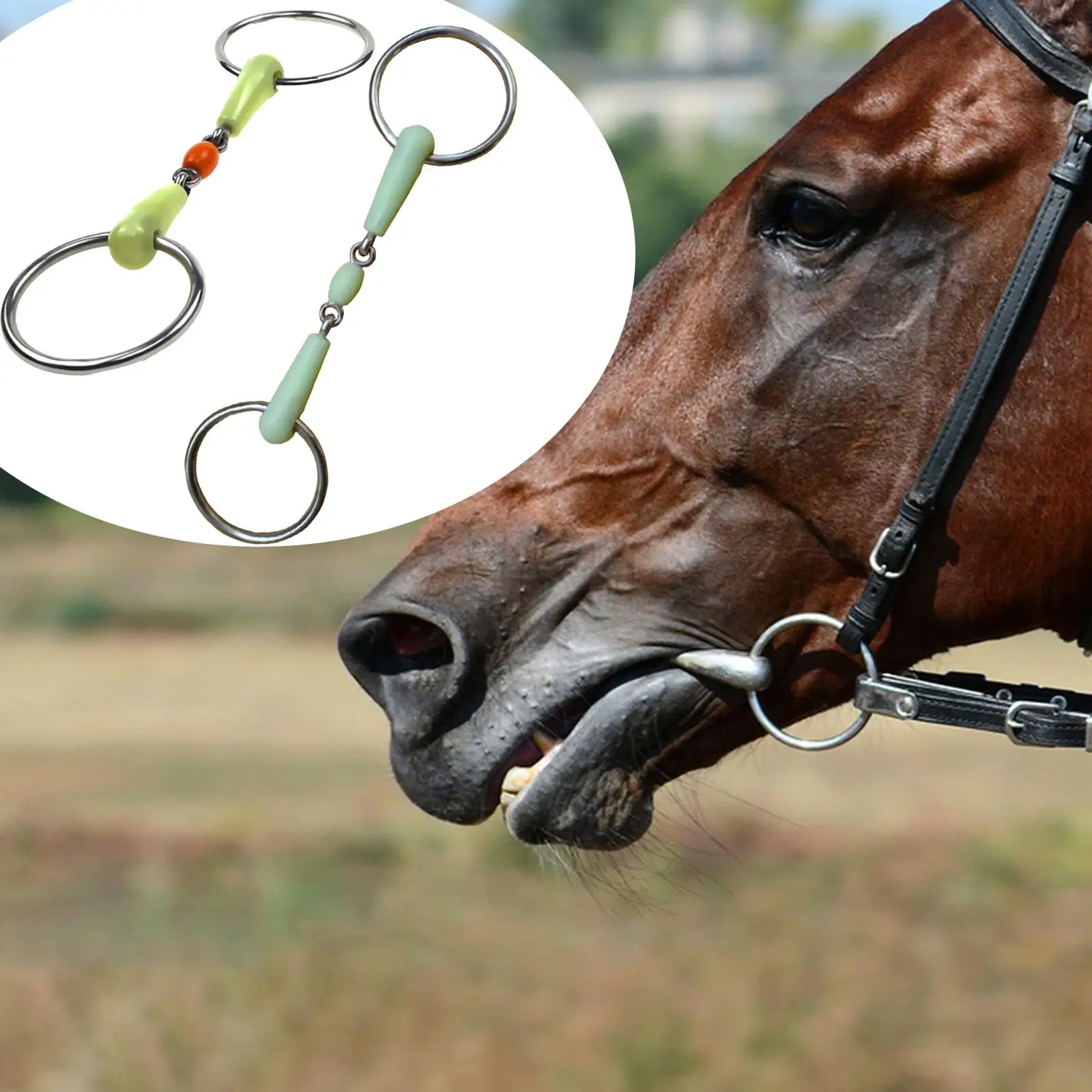 Horse Ring Bit Wear Resistant Rubber Wrapped Horse Training Tool Stainless Steel
Horse Ring Bit Wear Resistant Rubber Wrapped Horse Training Tool Stainless Steel
