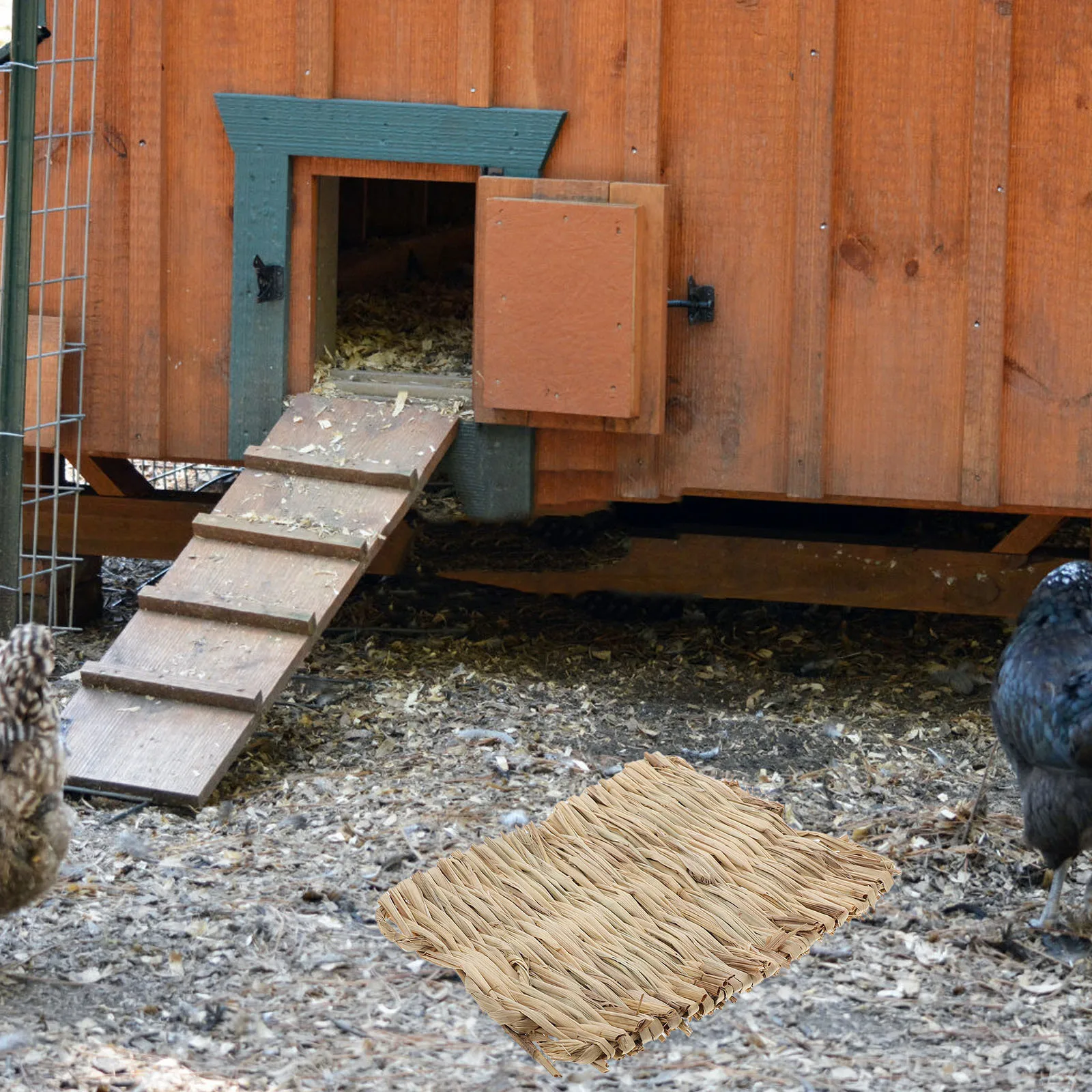 4Pcs Grass Mat for Nesting Natural Breathable Rabbit Bird Bedding Cage Mat Soft Comfortable Scratch Resting Pad for Small Pets
4Pcs Grass Mat for Nesting Natural Breathable Rabbit Bird Bedding Cage Mat Soft Comfortable Scratch Resting Pad for Small Pets