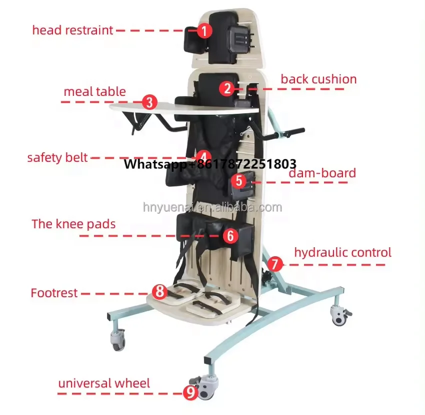 Medical Supplies Disabled Electric Standing and Lying Power Electrical Cerebral Palsy
Medical Supplies Disabled Electric Standing and Lying Power Electrical Cerebral Palsy