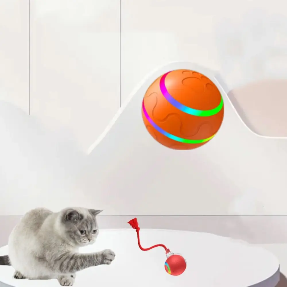 Automatic Pet Toy Ball Bite Resistant Durable Pet Electric Intelligent Ball Funny High Elasticity Dog Training Toy Gift
Automatic Pet Toy Ball Bite Resistant Durable Pet Electric Intelligent Ball Funny High Elasticity Dog Training Toy Gift