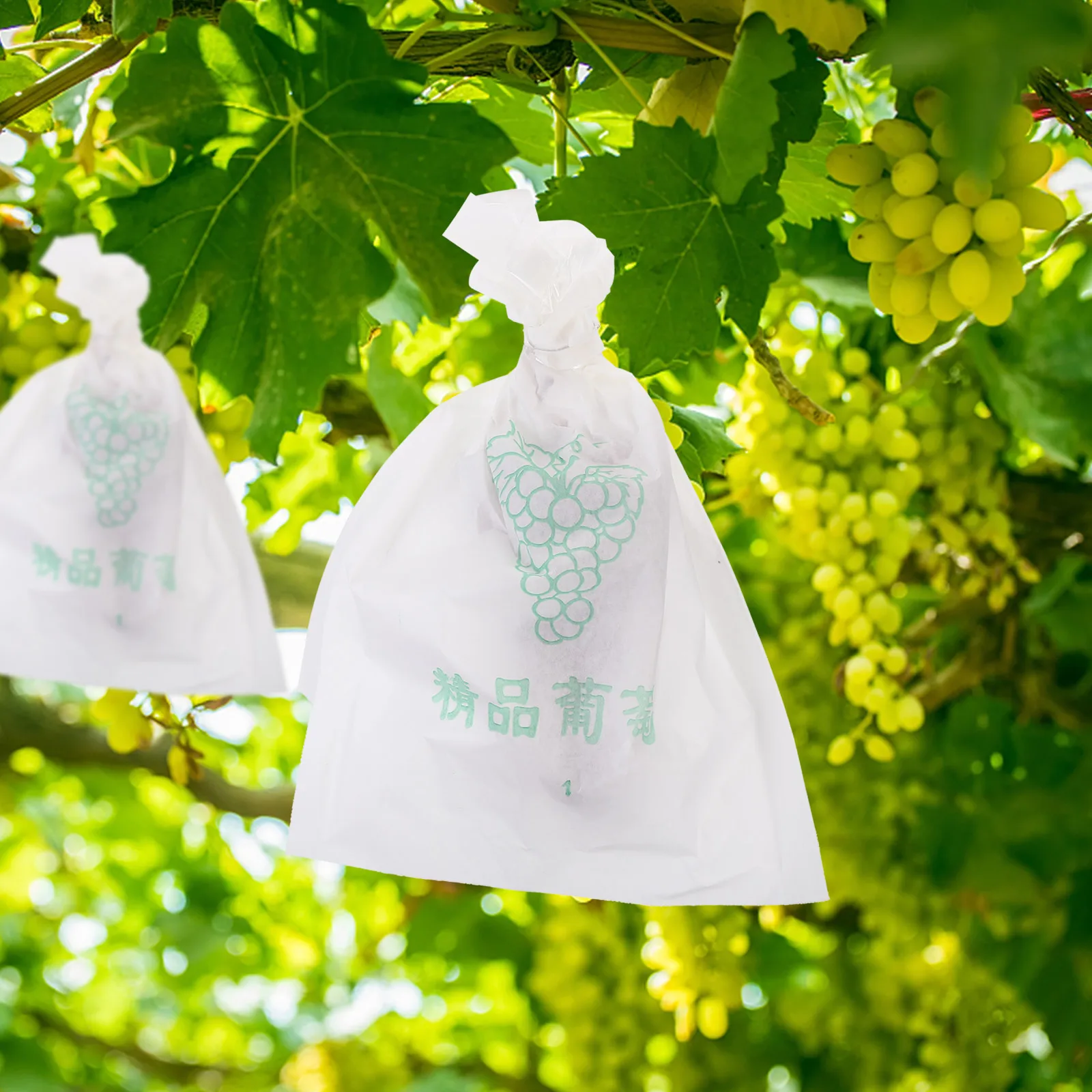 100pcs Grape Packaging Bag 24x33cm Transparent Paper Protector Waterproof Grow Nursery Bags for Grapes Avoid Promote
100pcs Grape Packaging Bag 24x33cm Transparent Paper Protector Waterproof Grow Nursery Bags for Grapes Avoid Promote