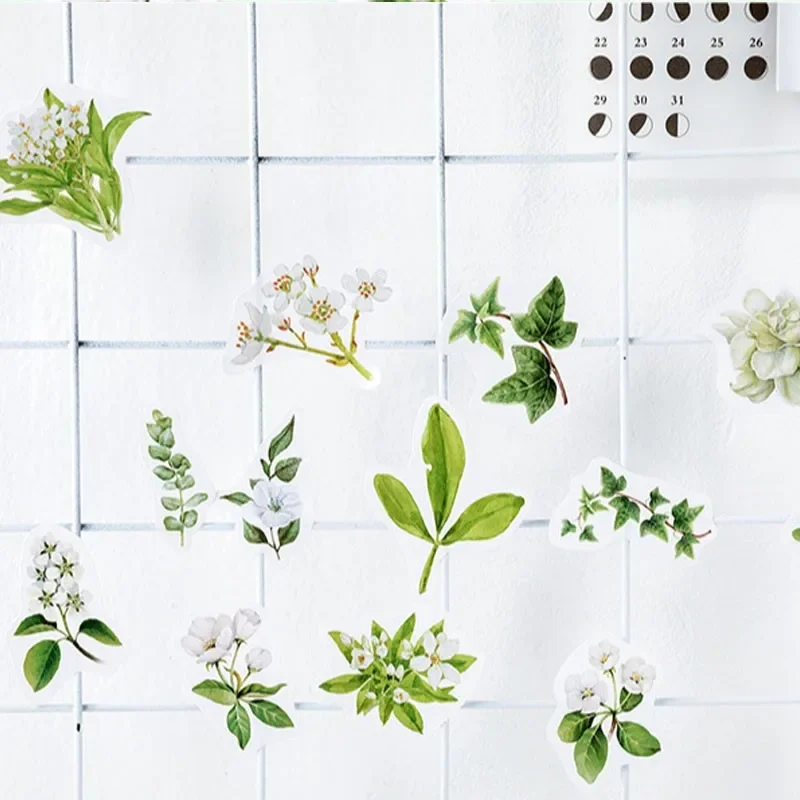 46pcs Green flower boxed Stickers DIY Diary Decor Stickers Scrapbook cute Stationery Supplies
46pcs Green flower boxed Stickers DIY Diary Decor Stickers Scrapbook cute Stationery Supplies
