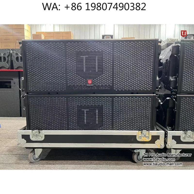 Custom Dual 12 Inch Two-Way Line Array Speaker, Professional Audio Equipment for Party and Large Event Venues
Custom Dual 12 Inch Two-Way Line Array Speaker, Professional Audio Equipment for Party and Large Event Venues
