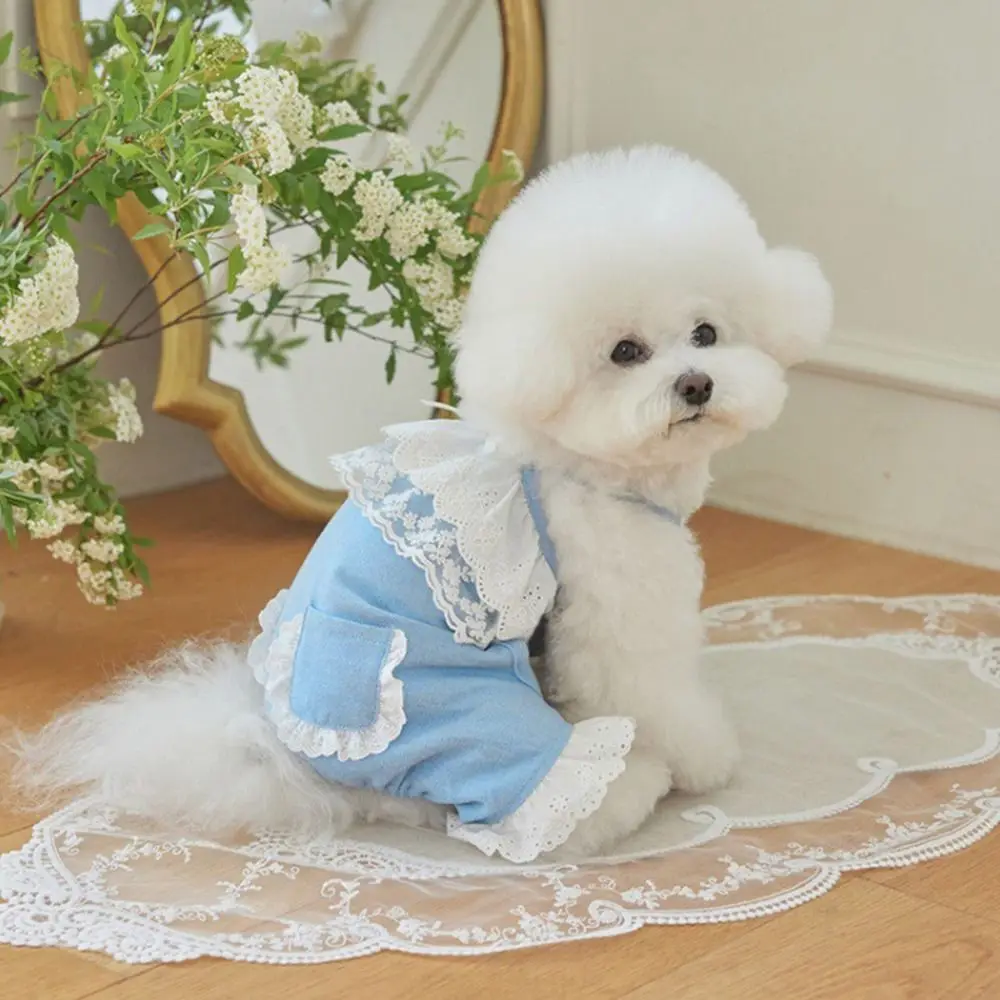 Comfortable Soft Pet Lace Jumpsuit Fashion Thin Design Pet Overalls Breathable Dog Clothes for Puppy Cat
Comfortable Soft Pet Lace Jumpsuit Fashion Thin Design Pet Overalls Breathable Dog Clothes for Puppy Cat