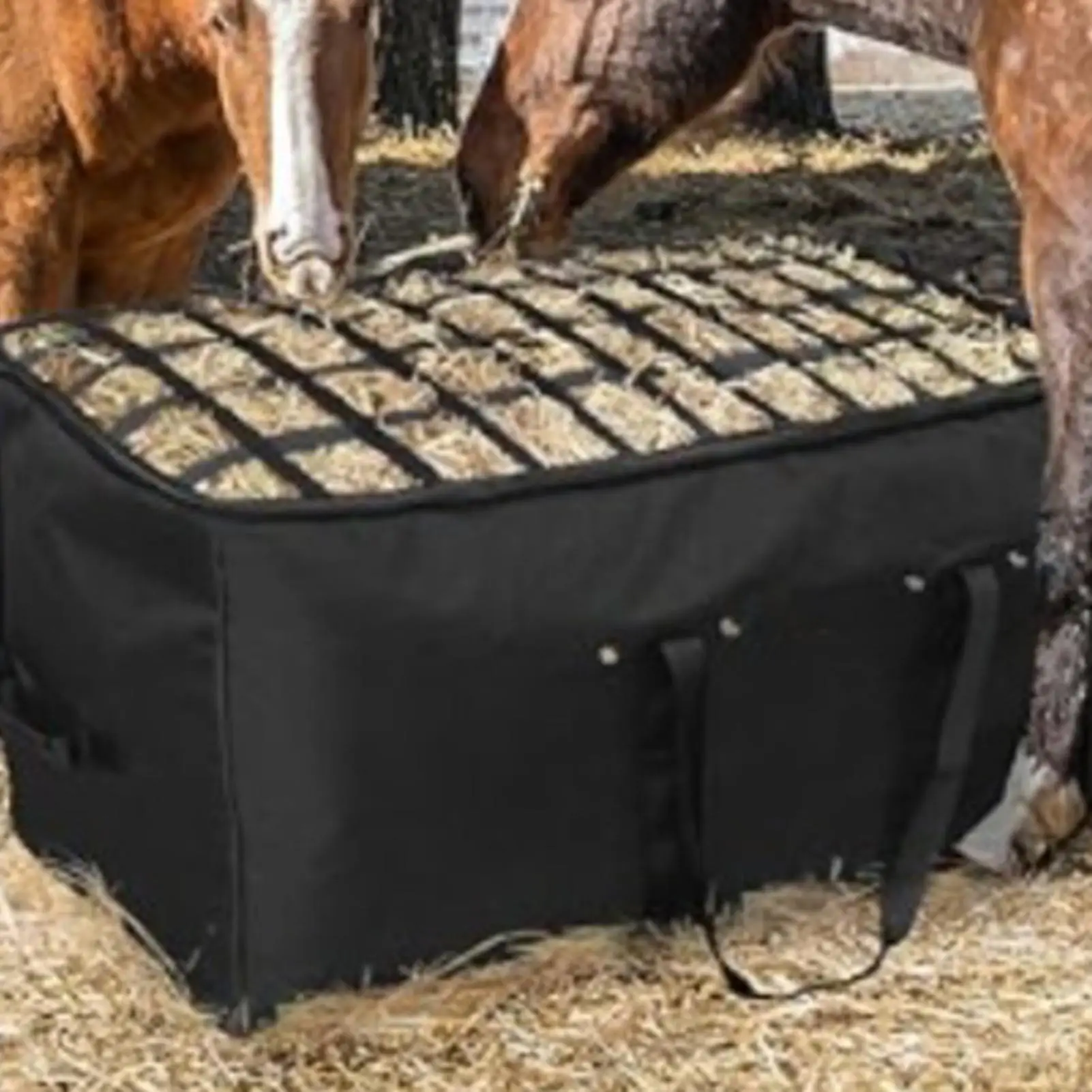 Breathable Rolling Bale Bag 44x18x22inch Extra Large Hay Bag With Top Slow Feed Design For Horses Goats SheepDonkey
Breathable Rolling Bale Bag 44x18x22inch Extra Large Hay Bag With Top Slow Feed Design For Horses Goats SheepDonkey
