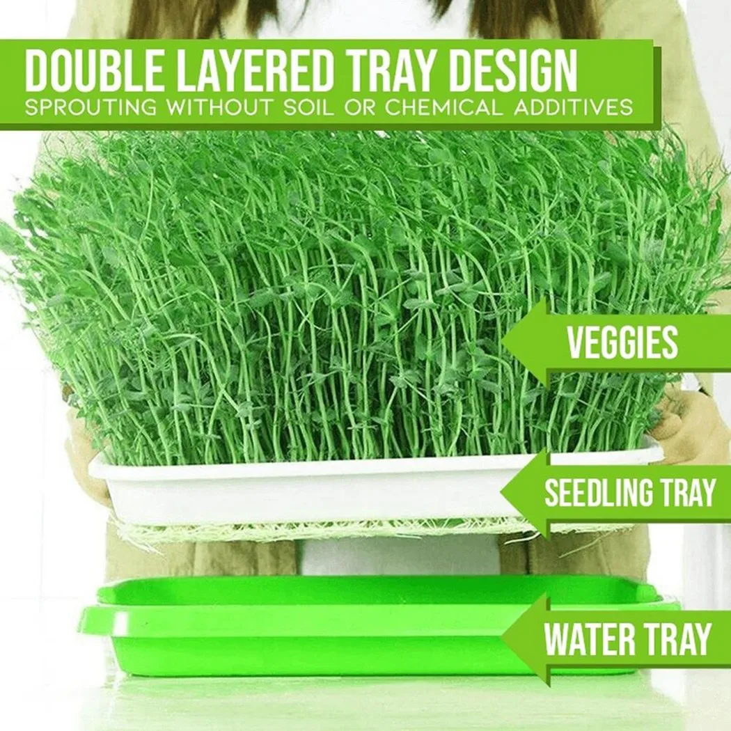 2 Layer Hydroponic Tray For Begginers Microgreens Tray For Sprouts Paper33cm X 26cm X 5cm High Quality Brand New
2 Layer Hydroponic Tray For Begginers Microgreens Tray For Sprouts Paper33cm X 26cm X 5cm High Quality Brand New