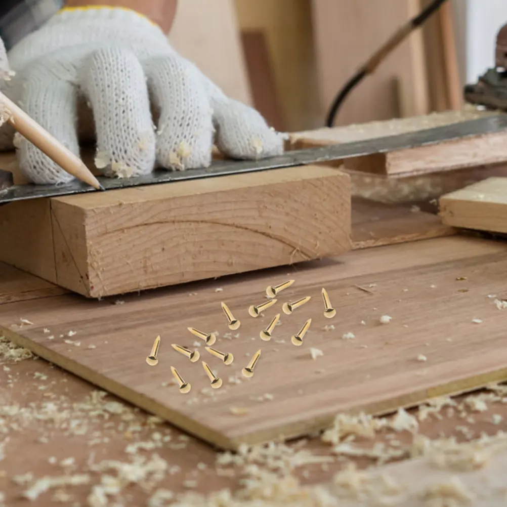 200Pcs Copper Hanging Nails Round Head Strong Reliable for Furniture Fixing DIY Home Projects Copper Nails Furniture Nail
200Pcs Copper Hanging Nails Round Head Strong Reliable for Furniture Fixing DIY Home Projects Copper Nails Furniture Nail