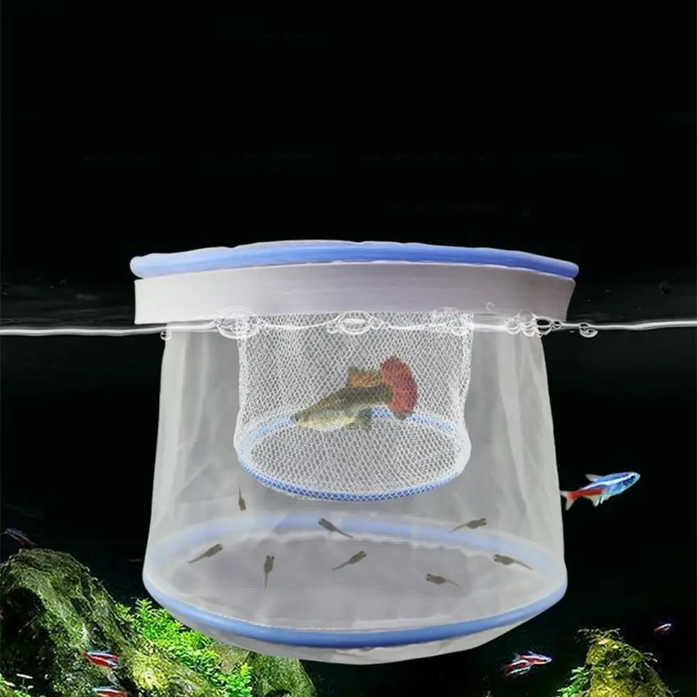 Practical Ventilated Guppy Breeding Net Nylon Portable Floating Fish Net Permeable Breeding Net Home Aquarium
Practical Ventilated Guppy Breeding Net Nylon Portable Floating Fish Net Permeable Breeding Net Home Aquarium