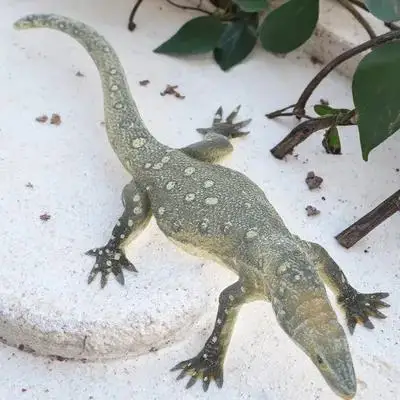 Simulation Lizard Hard Plastic Realistic Artificial Animal Decoration for Study Room Party Educational Lifelike
Simulation Lizard Hard Plastic Realistic Artificial Animal Decoration for Study Room Party Educational Lifelike