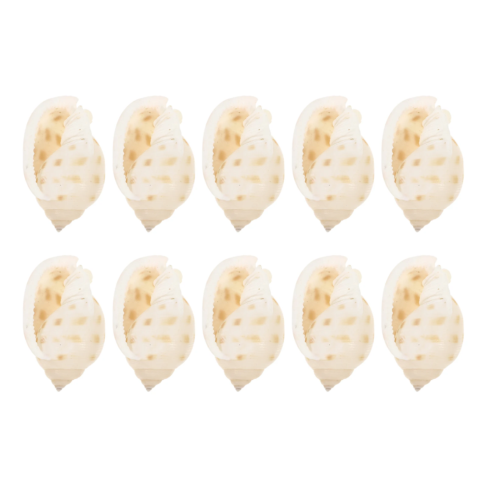 10pcs Conch Shell Specimen Natural Decor Aquarium Fish Tank Ornaments Micro Landscaping Lovely Conch Household Office Pet
10pcs Conch Shell Specimen Natural Decor Aquarium Fish Tank Ornaments Micro Landscaping Lovely Conch Household Office Pet