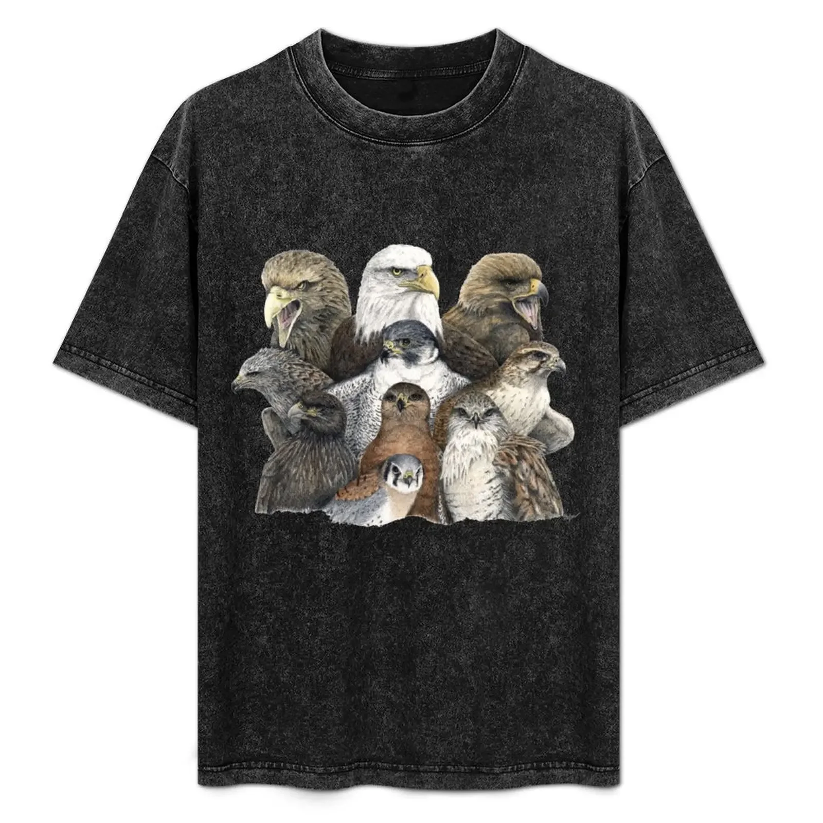Raptors Montage T-Shirt Sporty Breathable Short Sleeve T-Shirt
Raptors Montage T-Shirt Sporty Breathable Short Sleeve T-Shirt