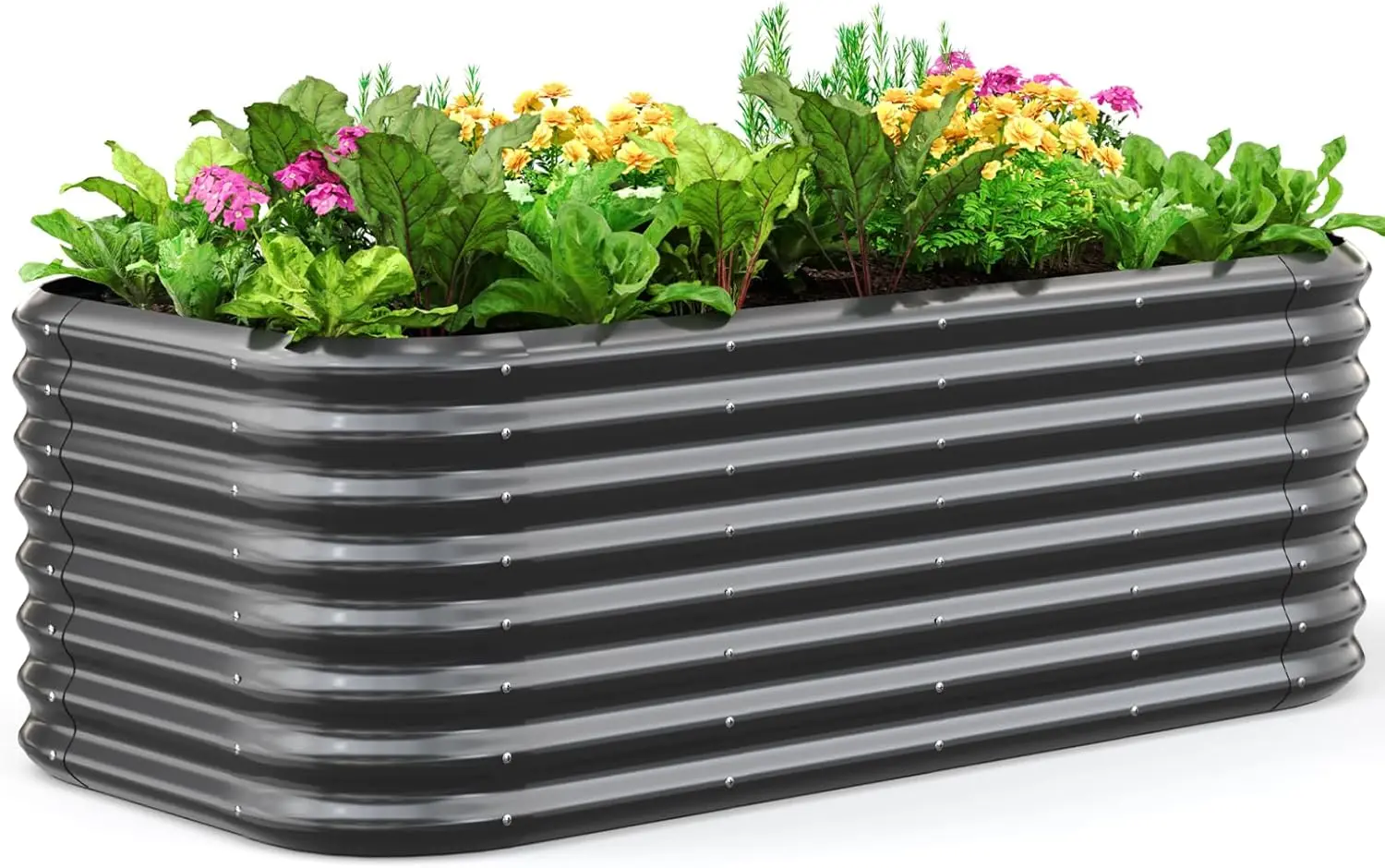 6x3x2 ft Oval Metal Raised Garden Bed, Tall Planter Box for Vegetables, Dark Gray, Strengthened by Crossbar
6x3x2 ft Oval Metal Raised Garden Bed, Tall Planter Box for Vegetables, Dark Gray, Strengthened by Crossbar
