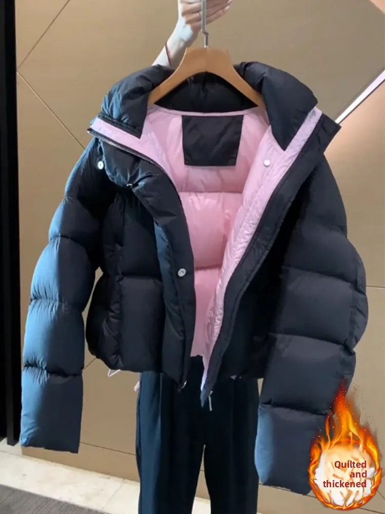 Korean Style Thickened Short down Cotton Jacket Women's Winter Fashion Bread Coat Padded Zipper Handbag Hooded Color
Korean Style Thickened Short down Cotton Jacket Women's Winter Fashion Bread Coat Padded Zipper Handbag Hooded Color