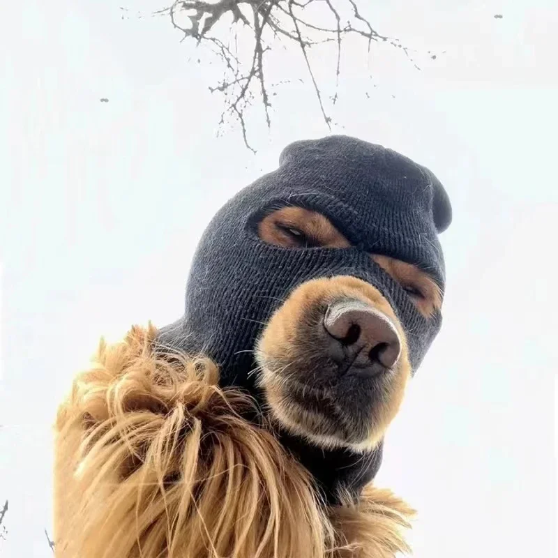 Quiet Dog Ear Muffs, Noise Protection, Pet Ears Covers, Knitted Hat, Anxiety Relief, Winter Warm Earmuffs for Medium and Large D
Quiet Dog Ear Muffs, Noise Protection, Pet Ears Covers, Knitted Hat, Anxiety Relief, Winter Warm Earmuffs for Medium and Large D