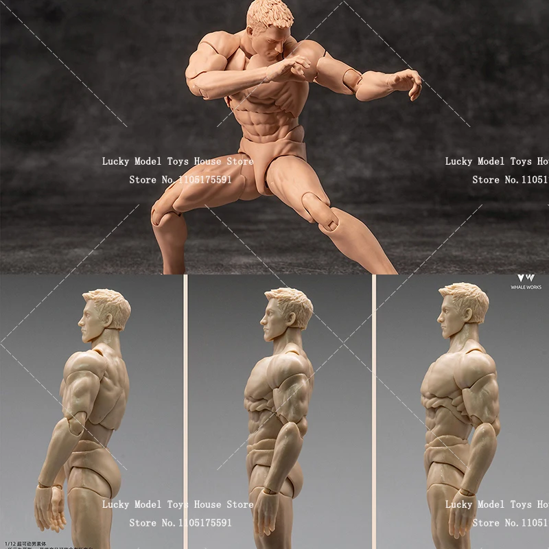 Pale/Yellow/Suntan/Gray Whale Works 1/12 Scale Super Flexible Man Soldier Body 6inch WW03 Ash Action Figure Model Toys Accessory
Pale/Yellow/Suntan/Gray Whale Works 1/12 Scale Super Flexible Man Soldier Body 6inch WW03 Ash Action Figure Model Toys Accessory