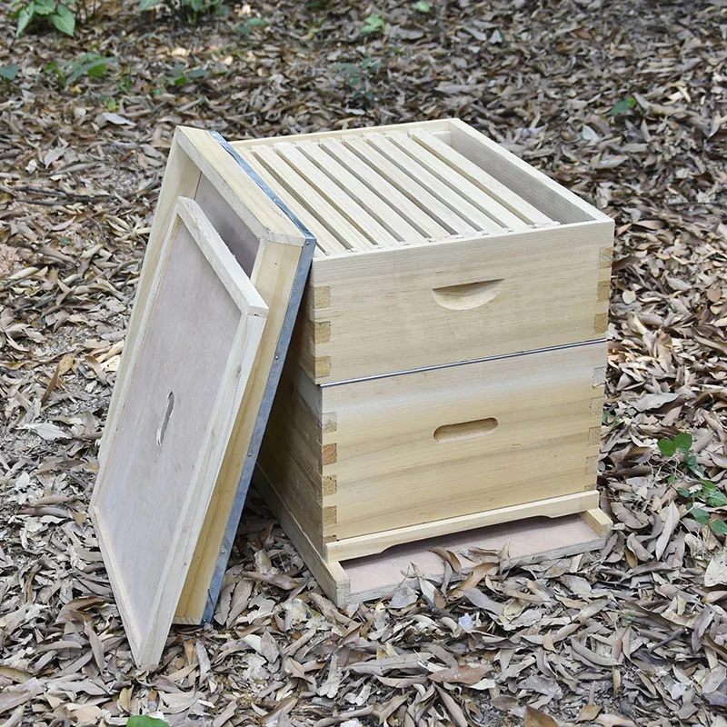 Factory Wholesale Beekeeping Beehive Kit Bee HiveFactory Wholesale Beehive Kit Beekeeping Equipment Complete Bee Hive
Factory Wholesale Beekeeping Beehive Kit Bee HiveFactory Wholesale Beehive Kit Beekeeping Equipment Complete Bee Hive