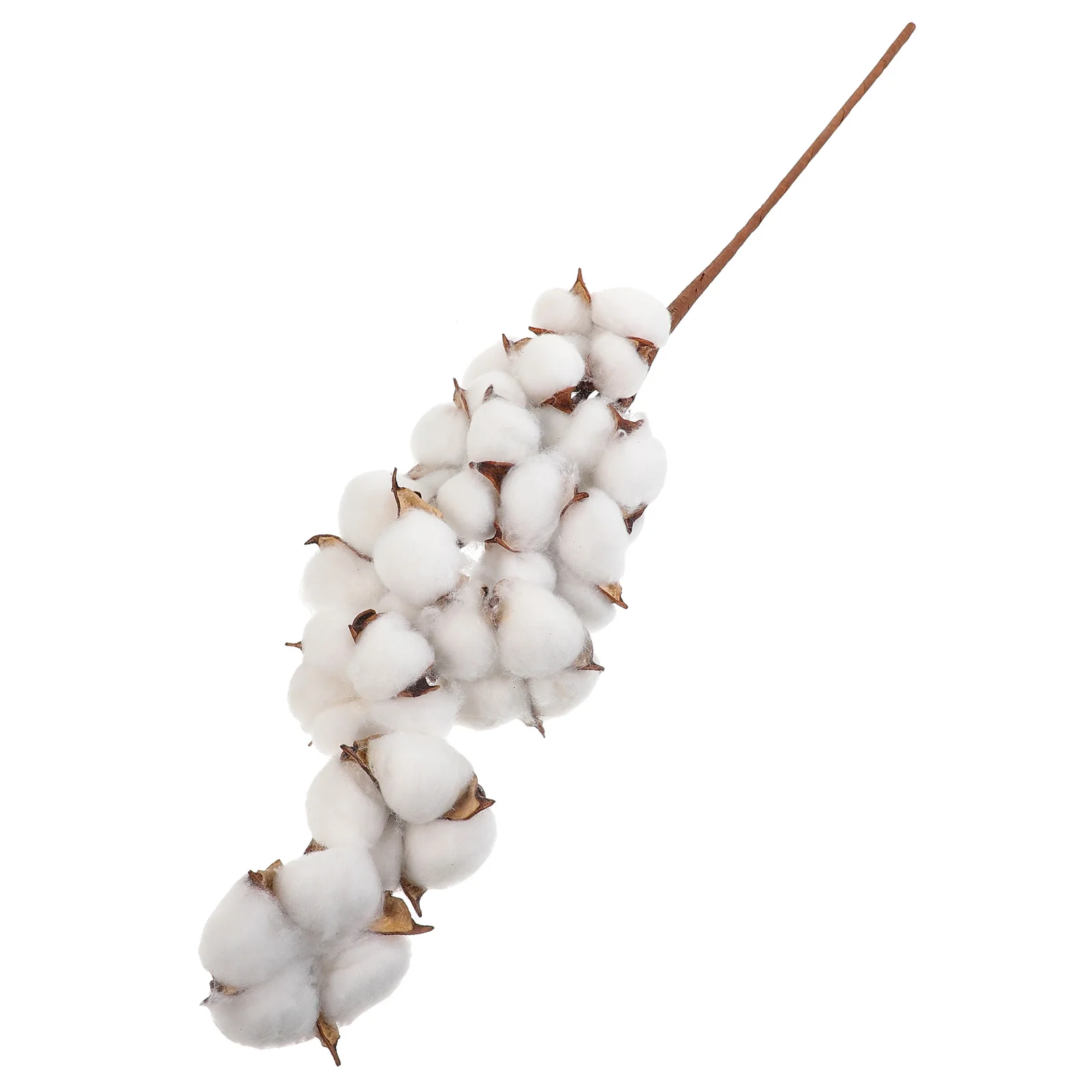 Cotton Stems Decor Bundle for Holiday Wedding Centerpiece Table Display Artificial Dried Cotton Balls Decoration
Cotton Stems Decor Bundle for Holiday Wedding Centerpiece Table Display Artificial Dried Cotton Balls Decoration