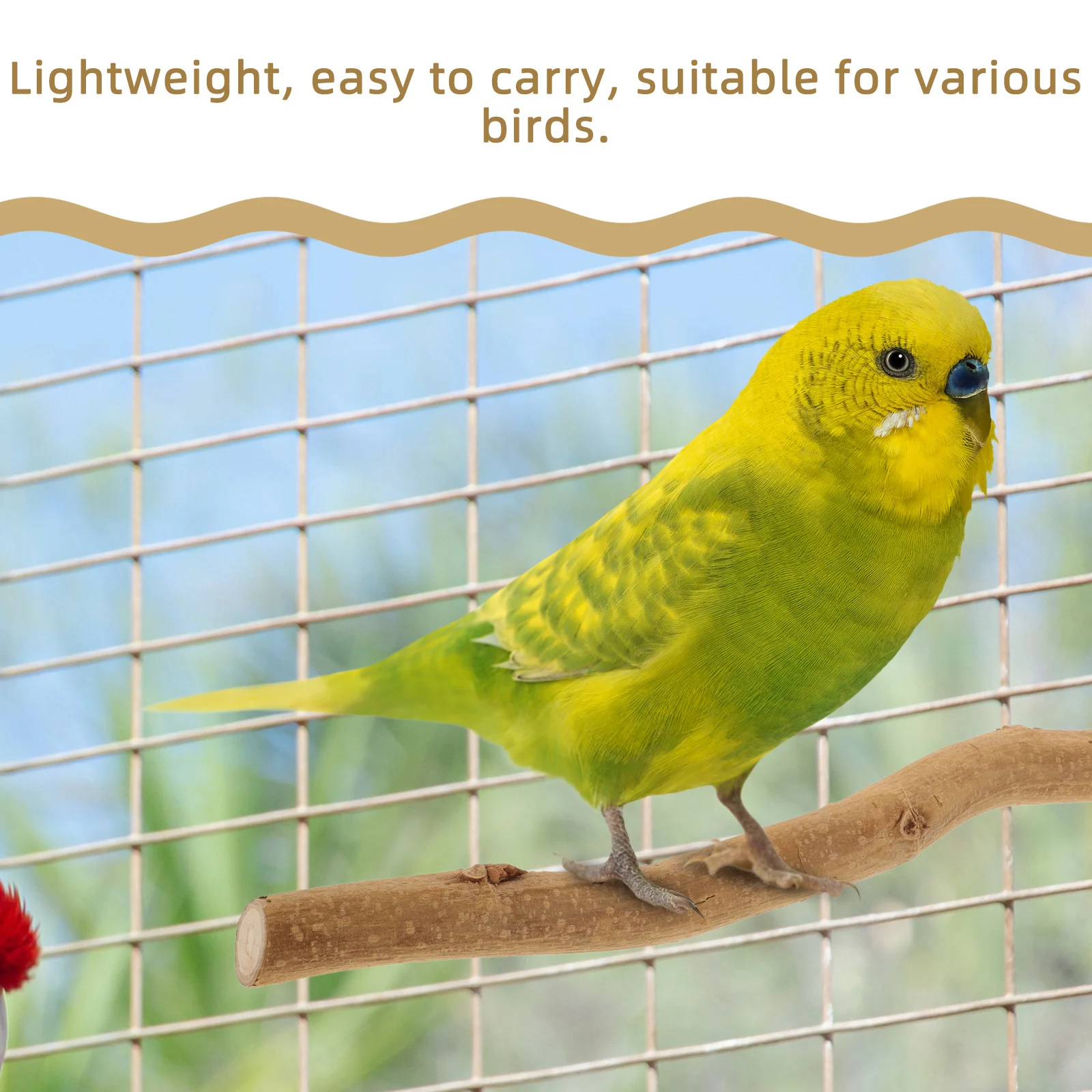 5pcs Perch Parrot Stand Wood Grinding Stick For Oral Health Exercise Perches For Cage Parrot Perch Bird Accessories Bird Cage
5pcs Perch Parrot Stand Wood Grinding Stick For Oral Health Exercise Perches For Cage Parrot Perch Bird Accessories Bird Cage