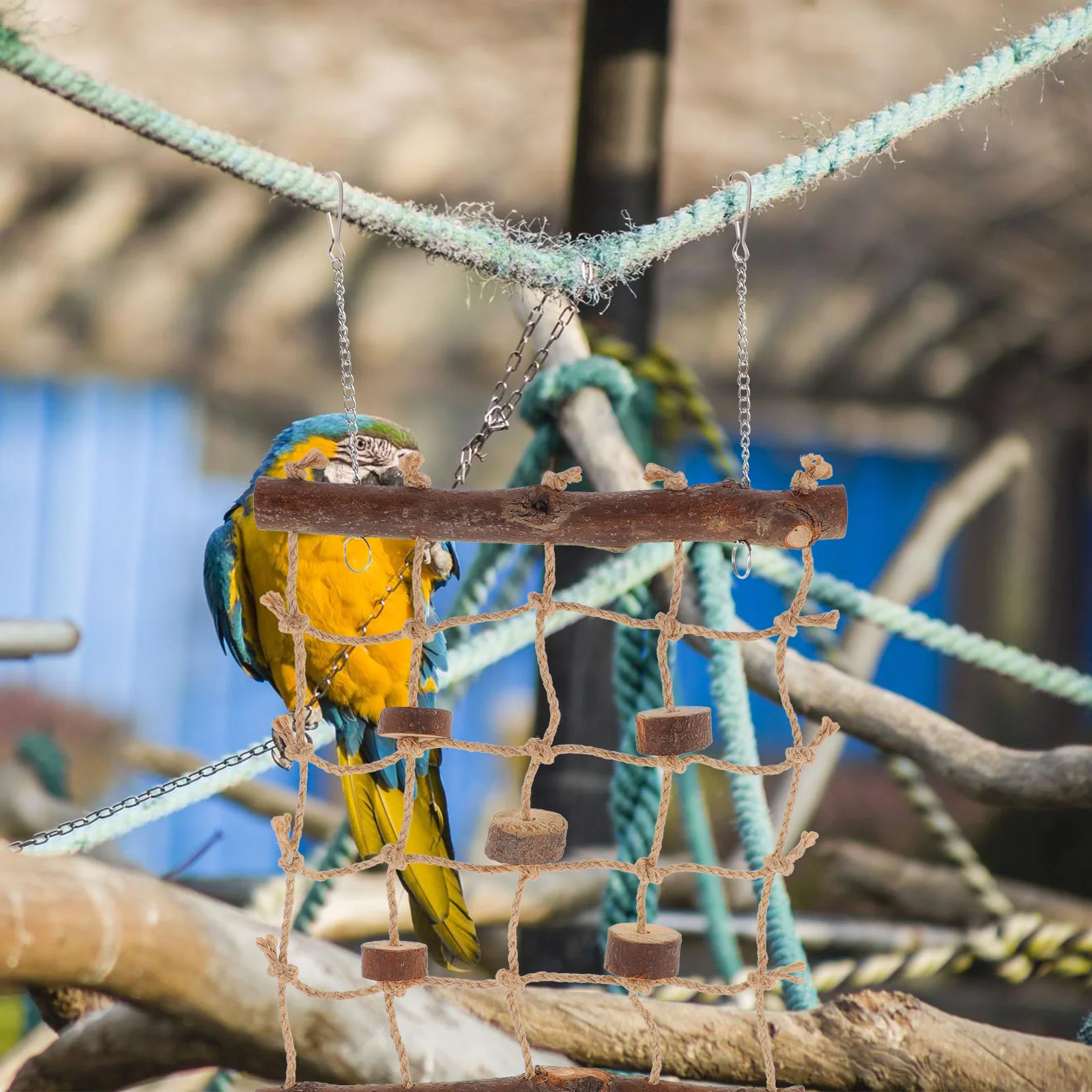 Colorful Rope Climbing Net Bird Toys Parrot Cage Accessories Hanging Nets for Parakeet Safe Durable Reusable Long Lasting Easy
Colorful Rope Climbing Net Bird Toys Parrot Cage Accessories Hanging Nets for Parakeet Safe Durable Reusable Long Lasting Easy