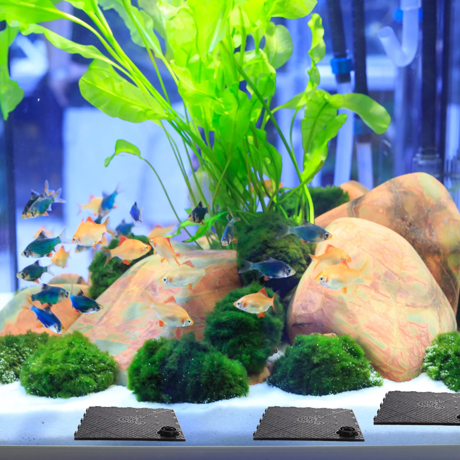 5pcs Bottom Filter Plates Black Interface Strong Support Fish Tank Divider Sand Boards Aquarium Supplies Pet
5pcs Bottom Filter Plates Black Interface Strong Support Fish Tank Divider Sand Boards Aquarium Supplies Pet