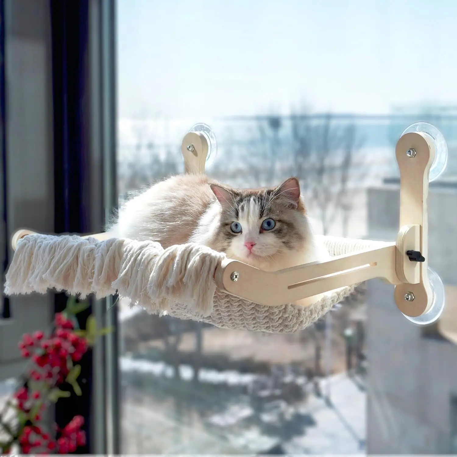 Оконный окунь для кошек, прочный кошачий хаммо для окна с утолщенными пробными чашками, большая складная кровать на подоконнике, полка из массива дерева
Оконный окунь для кошек, прочный кошачий хаммо для окна с утолщенными пробными чашками, большая складная кровать на подоконнике, полка из массива дерева