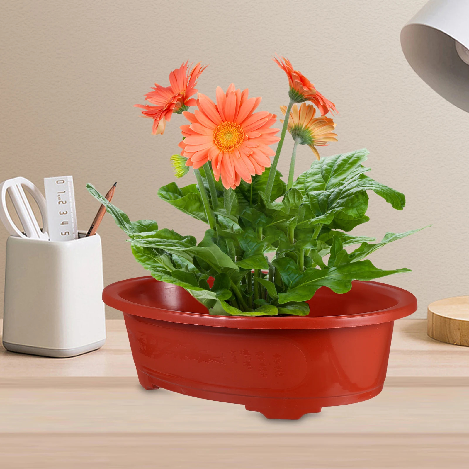 2Pcs Elegant Large Plastic Plant Pots Lightweight Design for Indoor Balcony Gardening Succulents Shrub Planters
2Pcs Elegant Large Plastic Plant Pots Lightweight Design for Indoor Balcony Gardening Succulents Shrub Planters