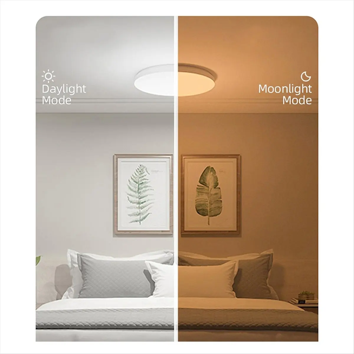 ABMO умный светодиодный потолочный светильник Wi-Fi декор комнаты потолочный светильник приложение голосовое управление для/круглых потолочных светильников
ABMO умный светодиодный потолочный светильник Wi-Fi декор комнаты потолочный светильник приложение голосовое управление для/круглых потолочных светильников