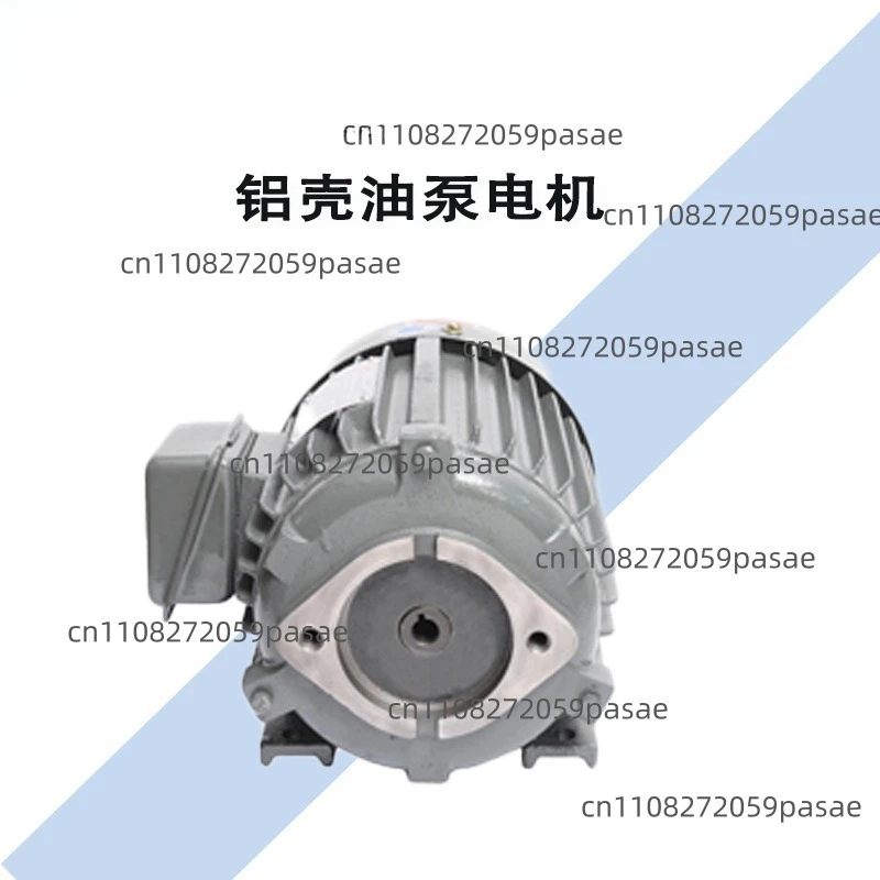 Aluminumpump Motor 132L2-4Motor11KW24A1450 To Hollow Shaft
Aluminumpump Motor 132L2-4Motor11KW24A1450 To Hollow Shaft