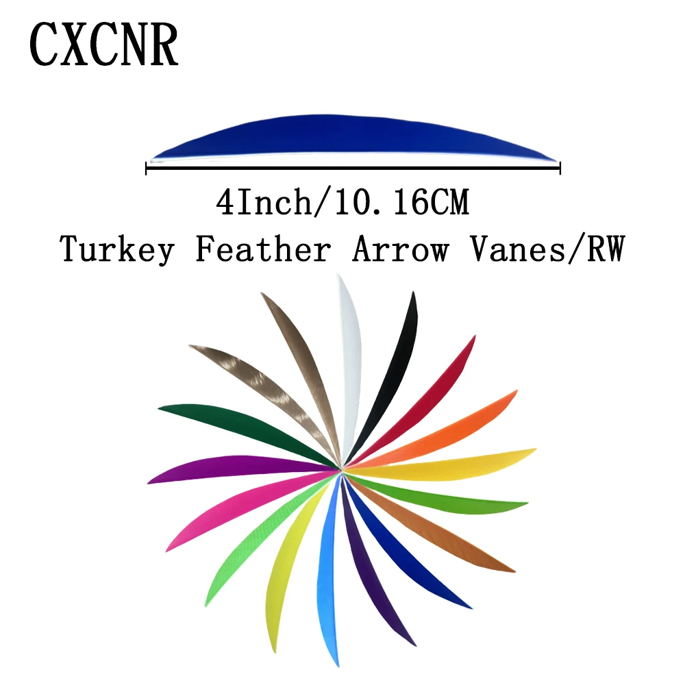 50Pcs 4Inch RW Natural Turkey Feather Arrow Vanes Target Fletching for Recurve & Traditional Bow DIY Archery Accessories
50Pcs 4Inch RW Natural Turkey Feather Arrow Vanes Target Fletching for Recurve & Traditional Bow DIY Archery Accessories