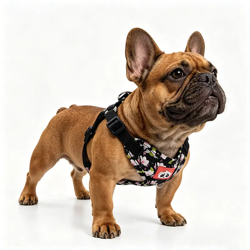 Cute floral dog harness, adjustable pet breathable harness, suitable for French bulldogs, small and medium-sized dogs and cats
Cute floral dog harness, adjustable pet breathable harness, suitable for French bulldogs, small and medium-sized dogs and cats