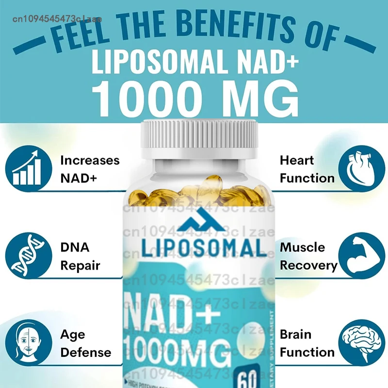 Liposome NAD+Supplement 1000mg Maximum Absorbed Energy and DNA Repair 60 Soft Capsules
Liposome NAD+Supplement 1000mg Maximum Absorbed Energy and DNA Repair 60 Soft Capsules