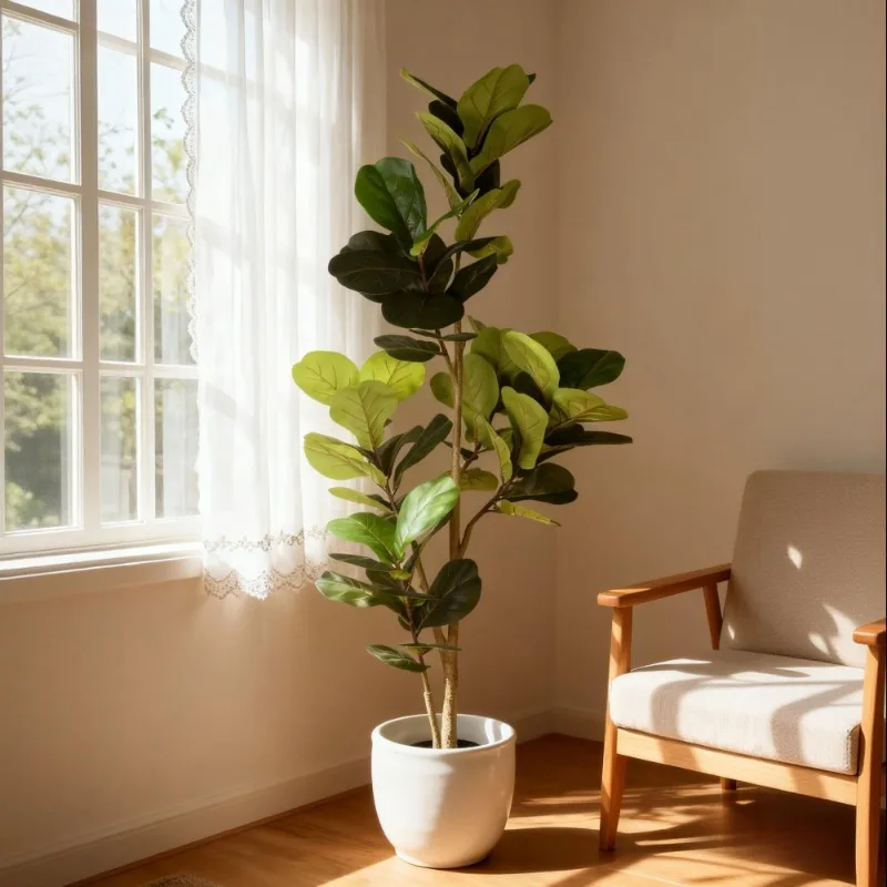 Artificial Fiddle Leaf Fig Tree Realistic Touch Fake Indoor Plan Perfect Decoration for Home Office and Living Room Corner
Artificial Fiddle Leaf Fig Tree Realistic Touch Fake Indoor Plan Perfect Decoration for Home Office and Living Room Corner