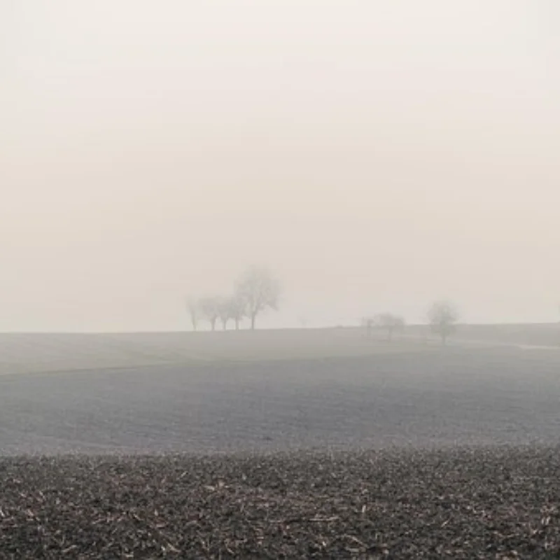 Colorful Aluminum+brass 1.1" Beadlock Wheel Rims For 1/18 TRX4M 1/24 SCX24 AX24 FMS
Colorful Aluminum+brass 1.1" Beadlock Wheel Rims For 1/18 TRX4M 1/24 SCX24 AX24 FMS