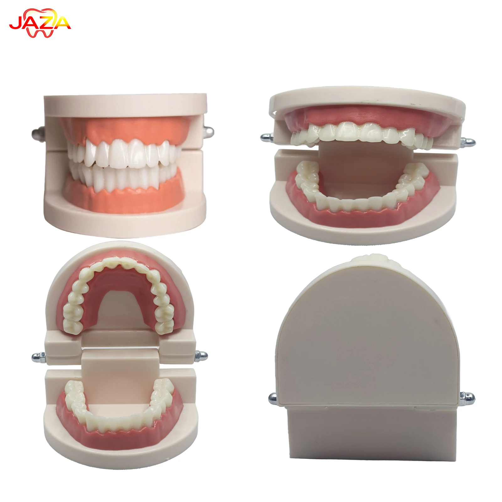 Стандартная съемная модель для подготовки и чистки зубных протезов JAZA | Учебное и тренировочное пособие для стоматологов
Стандартная съемная модель для подготовки и чистки зубных протезов JAZA | Учебное и тренировочное пособие для стоматологов