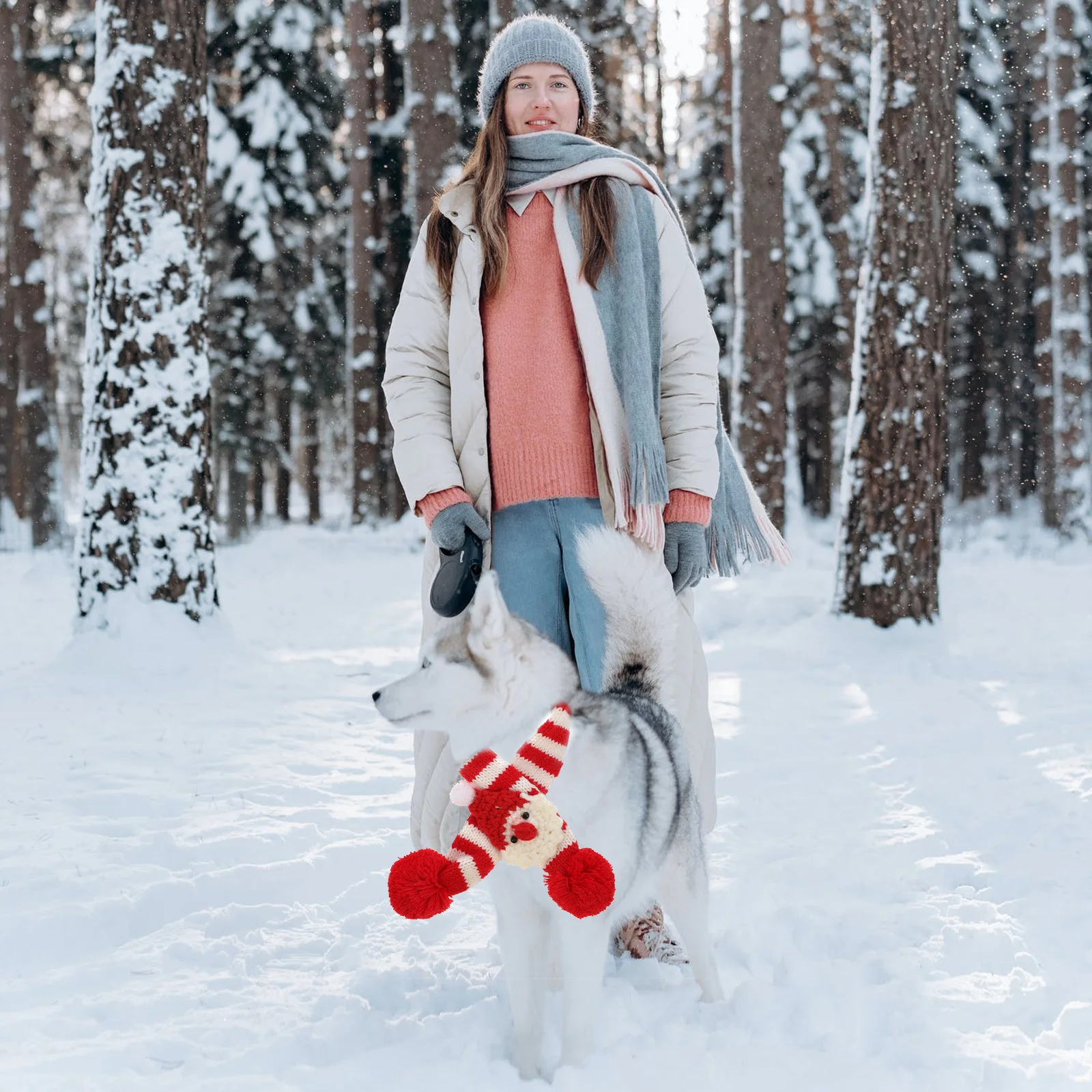 2Pcs Knitted Christmas Scarf for Pets Winter Warm Accessory Dog Cat Holiday Costume Eye Catching Bright Color Daily Party Wear
2Pcs Knitted Christmas Scarf for Pets Winter Warm Accessory Dog Cat Holiday Costume Eye Catching Bright Color Daily Party Wear