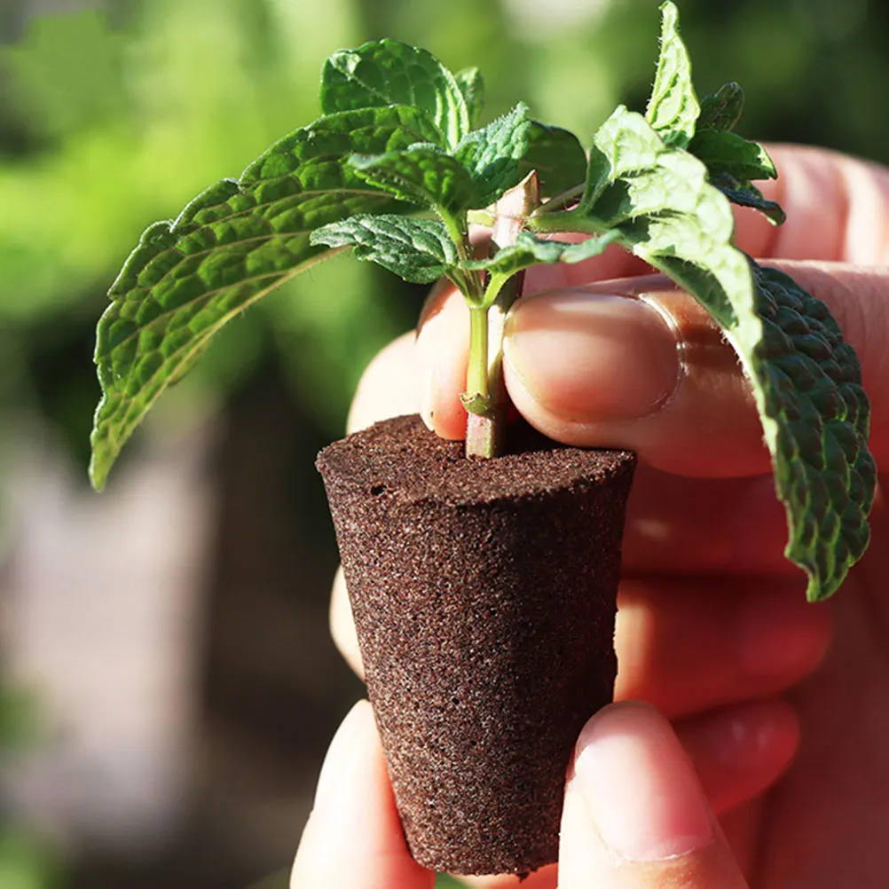 Seedling Block Nursery Pots 12 Sets Planting Bucket Slotted Net Cups Hydroponics Baskets Soilless Safe Durable
Seedling Block Nursery Pots 12 Sets Planting Bucket Slotted Net Cups Hydroponics Baskets Soilless Safe Durable