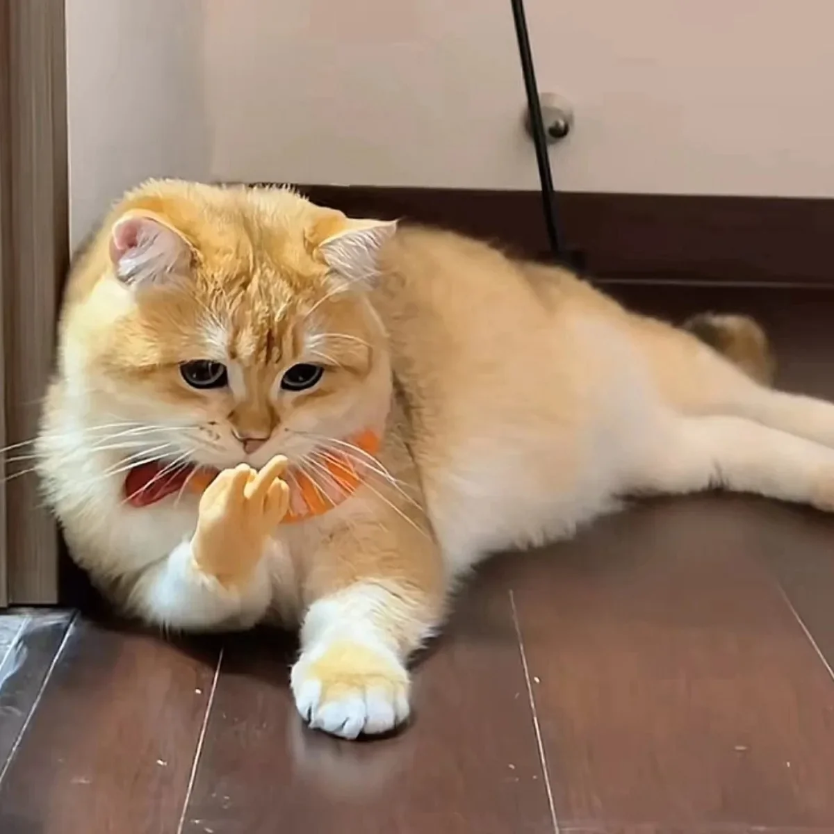 Elastic Cat Mini Hand Funny Palm-shaped Creative Finger Gesture Silicone Finger Soft Small Hand Tease The Cat Pet Toy Supplies
Elastic Cat Mini Hand Funny Palm-shaped Creative Finger Gesture Silicone Finger Soft Small Hand Tease The Cat Pet Toy Supplies