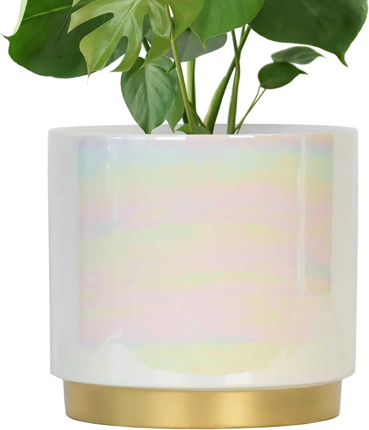 Large 9.6-inch White Ceramic Planter with Drainage Hole, Rainbow Pearl Glaze for Succulents and Orchids
Large 9.6-inch White Ceramic Planter with Drainage Hole, Rainbow Pearl Glaze for Succulents and Orchids