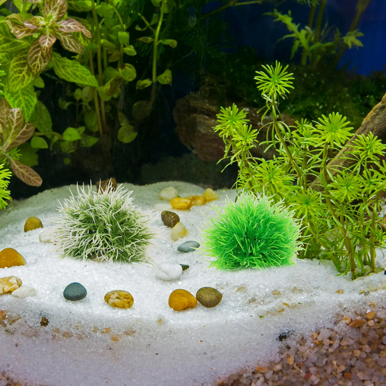 2Pcs CPO66S WhiteGreen Green Simulated Water Grass Flower Ball Decor Aquarium Fish Tank Plants Fake Aquatic Landscape Office
2Pcs CPO66S WhiteGreen Green Simulated Water Grass Flower Ball Decor Aquarium Fish Tank Plants Fake Aquatic Landscape Office