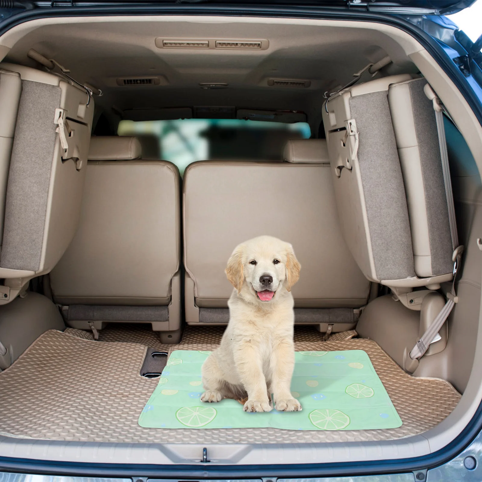 Cooling Mat for Pets 23.7x17.5 to Clean Reliable Cats Crate Sofa Floor Use Summer Relief
Cooling Mat for Pets 23.7x17.5 to Clean Reliable Cats Crate Sofa Floor Use Summer Relief