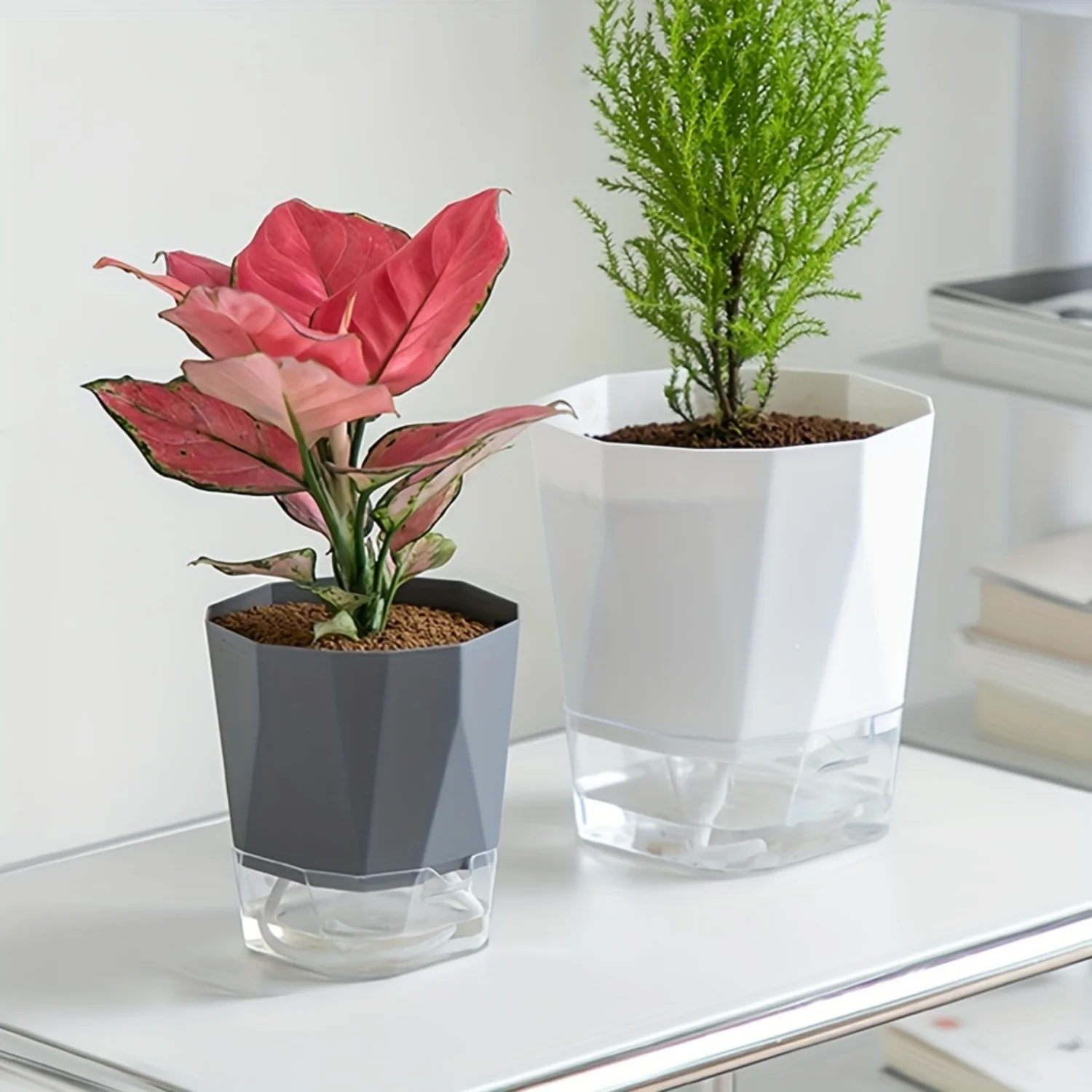 Набор самополивающихся кашпо из 3 предметов для внутреннего декора и офисной гидропоники — автоматическая система, прочные веревки, встроенные резервуары.
Набор самополивающихся кашпо из 3 предметов для внутреннего декора и офисной гидропоники — автоматическая система, прочные веревки, встроенные резервуары.