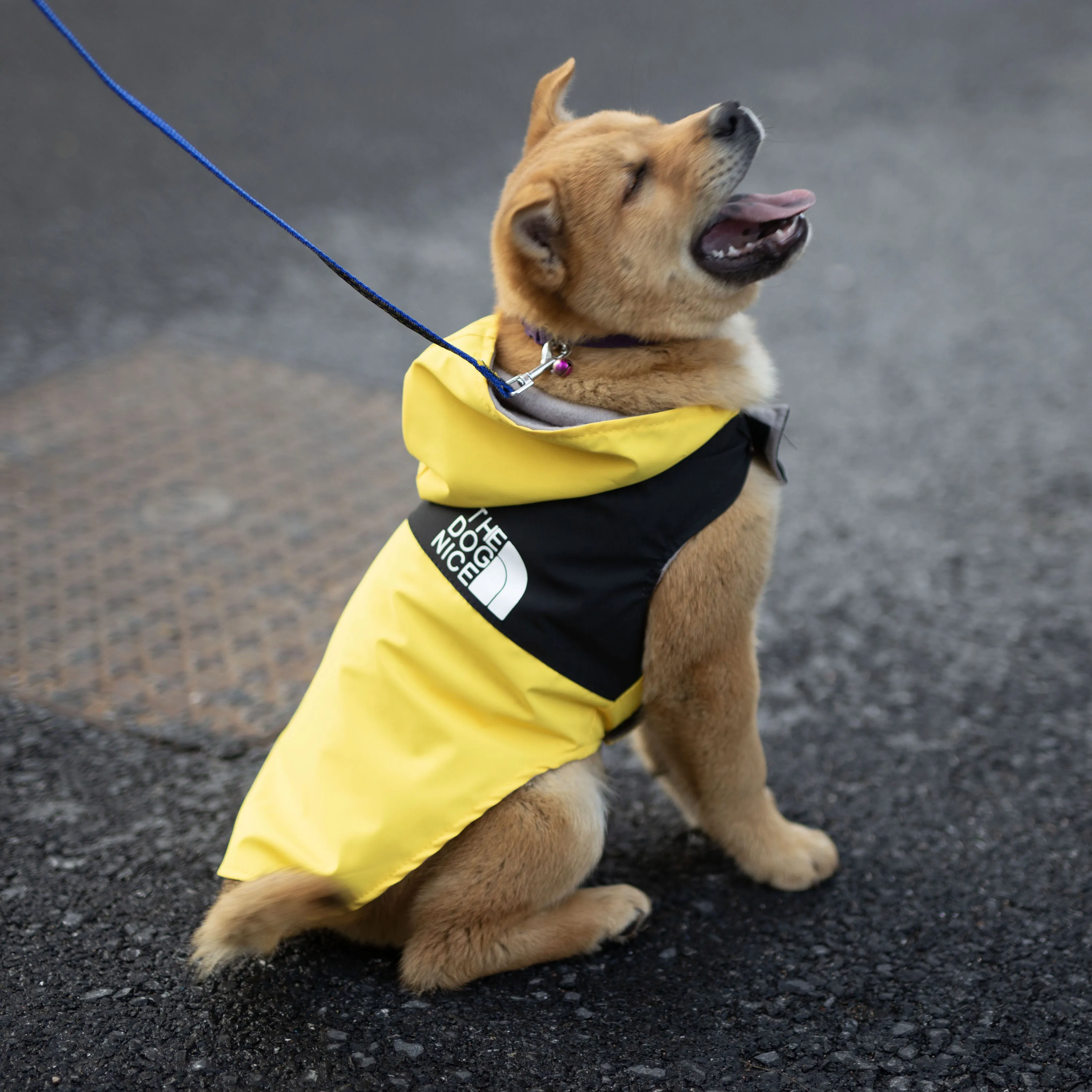 Pet Clothes Autumn Spring Winter Pet Dog Waterproof Warm Coat Hooded Jacket FOR Small Medium Dog Clothes
Pet Clothes Autumn Spring Winter Pet Dog Waterproof Warm Coat Hooded Jacket FOR Small Medium Dog Clothes