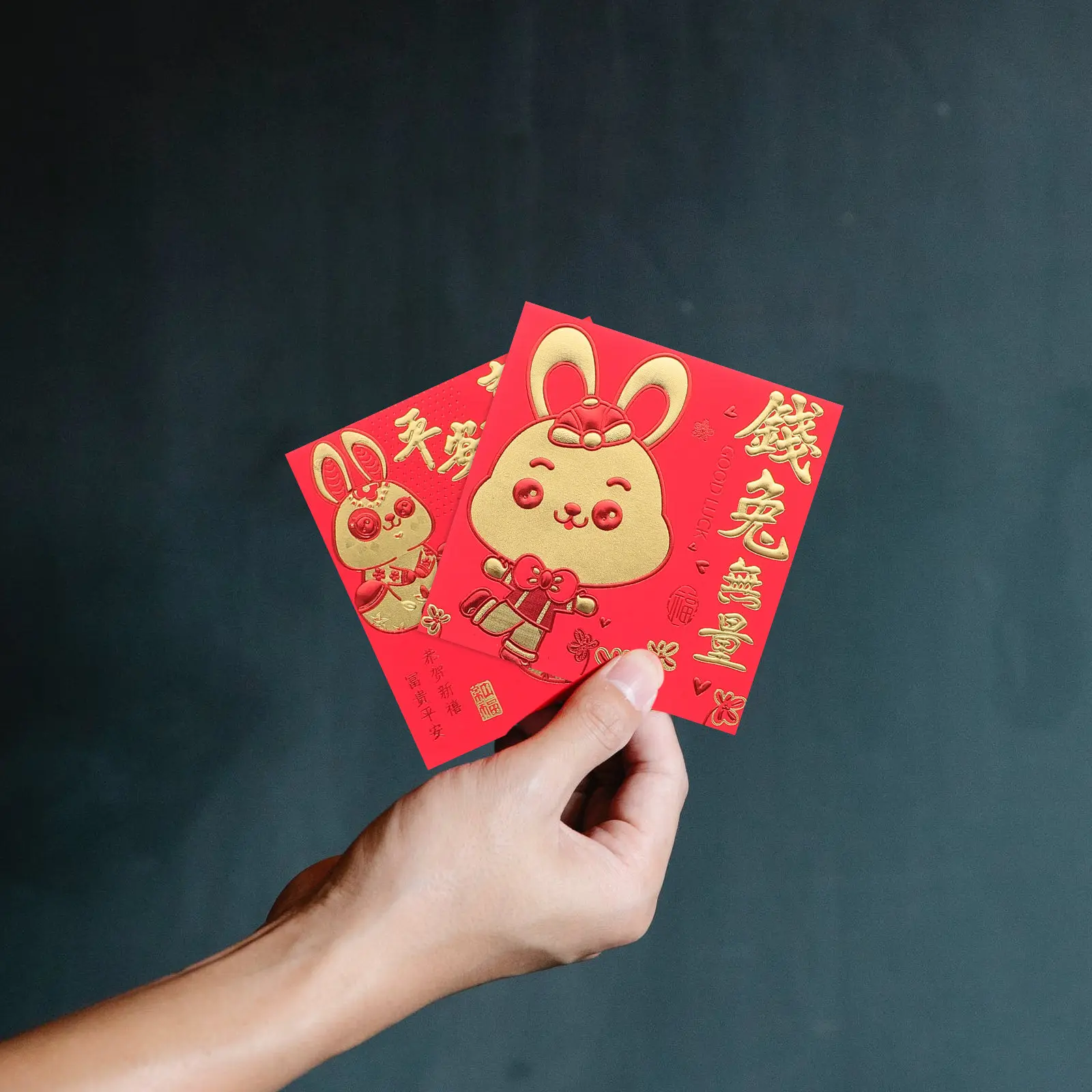66Pcs Year of The Rabbit Red Envelopes Bright Cartoon Pattern Decorative Lunar New Year Money Packets Festive Spring Festival
66Pcs Year of The Rabbit Red Envelopes Bright Cartoon Pattern Decorative Lunar New Year Money Packets Festive Spring Festival