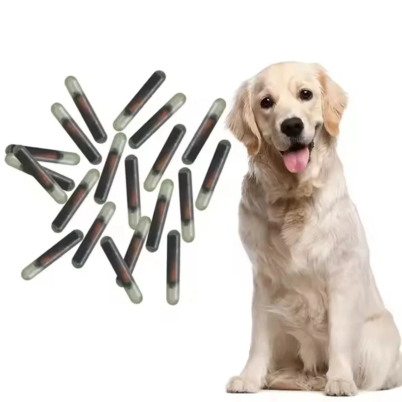 Pet Microchip for Dogs Scan Only Glass Transponder Chip Car Key Transponder Chip Pet Identification System
Pet Microchip for Dogs Scan Only Glass Transponder Chip Car Key Transponder Chip Pet Identification System