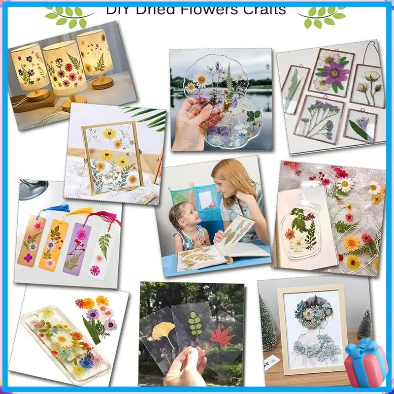 Discount Professional Flower Press Kit DIY Professional Flower Press Kit 30X21cm For Adults To Making Dried Flower & Press Flowe
Discount Professional Flower Press Kit DIY Professional Flower Press Kit 30X21cm For Adults To Making Dried Flower & Press Flowe