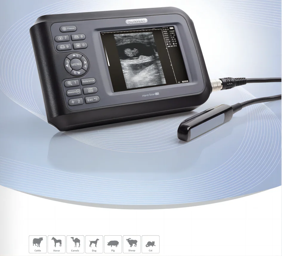 Competitive Price Small and Easy To Carry Handheld Veterinary Portable Ultrasound Machine For Veterinarian
Competitive Price Small and Easy To Carry Handheld Veterinary Portable Ultrasound Machine For Veterinarian